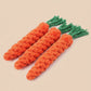 The Carrot Rope Toy