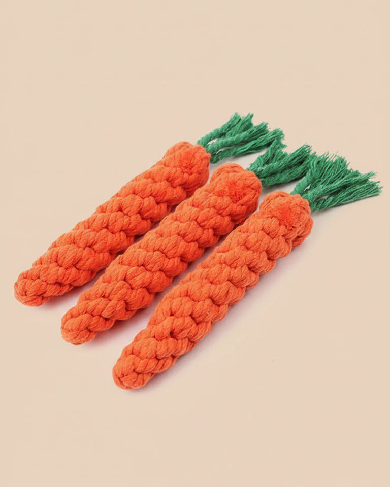 The Carrot Rope Toy